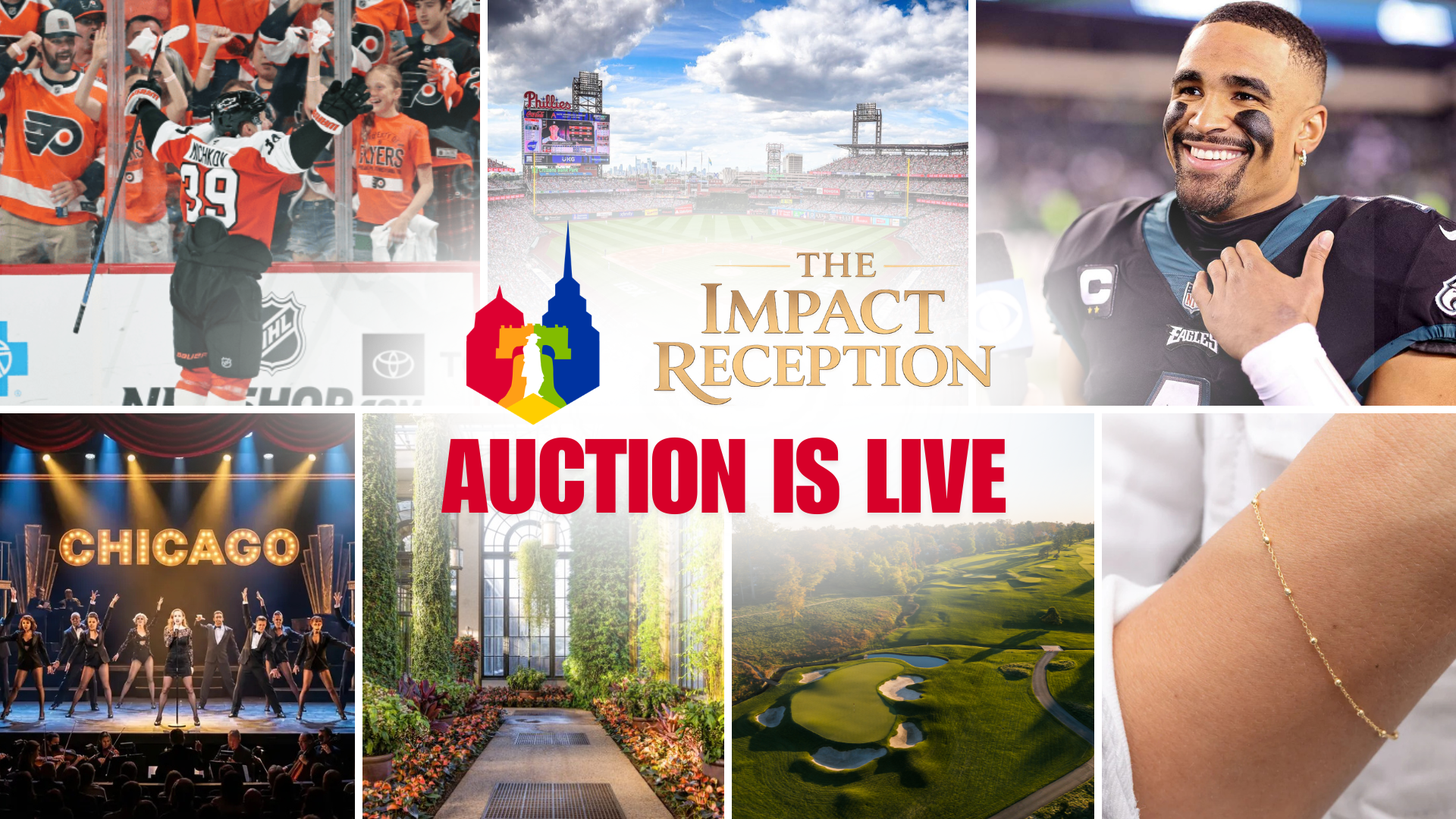 Impact Reception silent auction preview