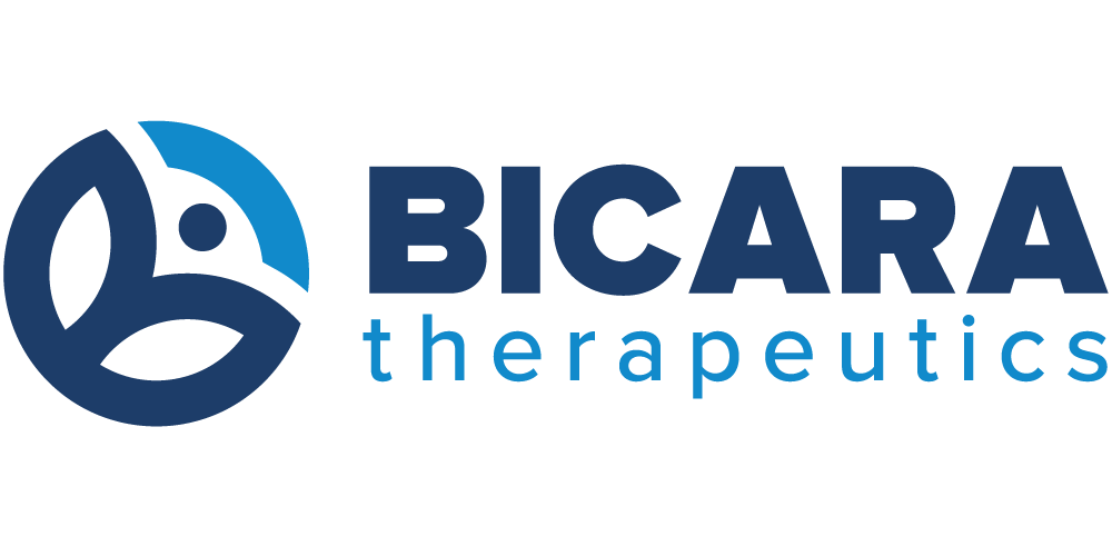 Bicara