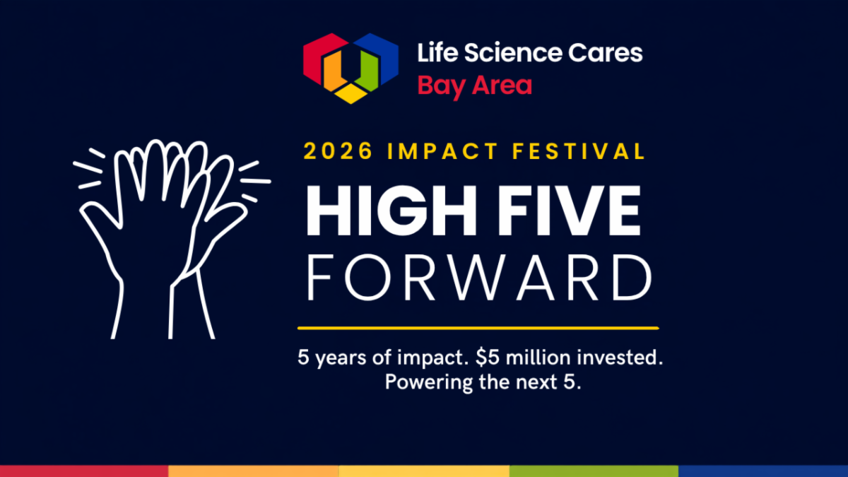Impact Festival new graphic